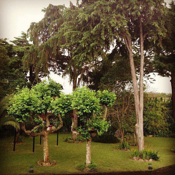 Quinta De Sao Francisco Sintra Exterior foto